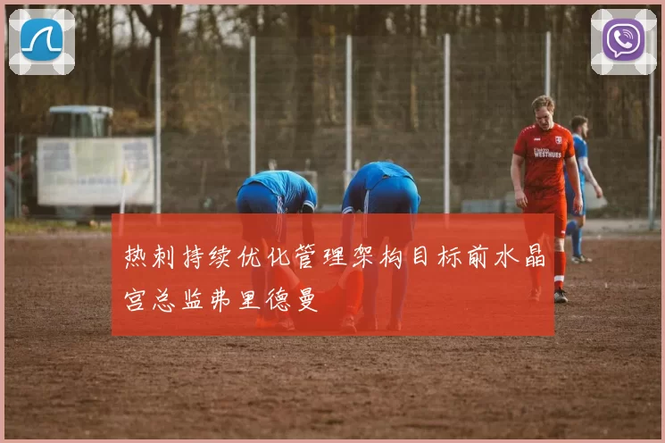 热刺持续优化管理架构目标前水晶宫总监弗里德曼