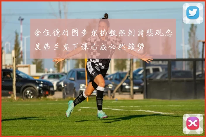 舍伍德对图多尔执教热刺持悲观态度弗兰克下课已成必然趋势